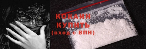 индика Баксан