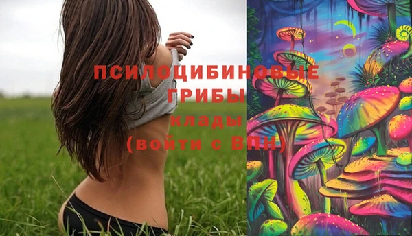прущий лед Балахна