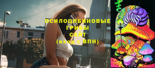 индика Баксан