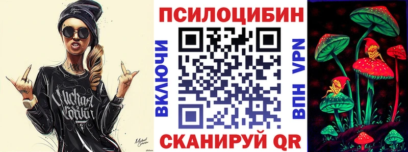 купить   Рассказово  Галлюциногенные грибы Psilocybine cubensis 